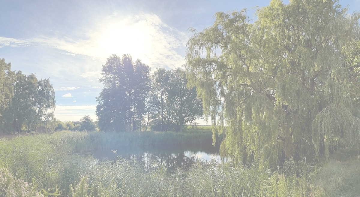 Koh Fehmarn und Blick auf den Teich und die Weide im Sommer.